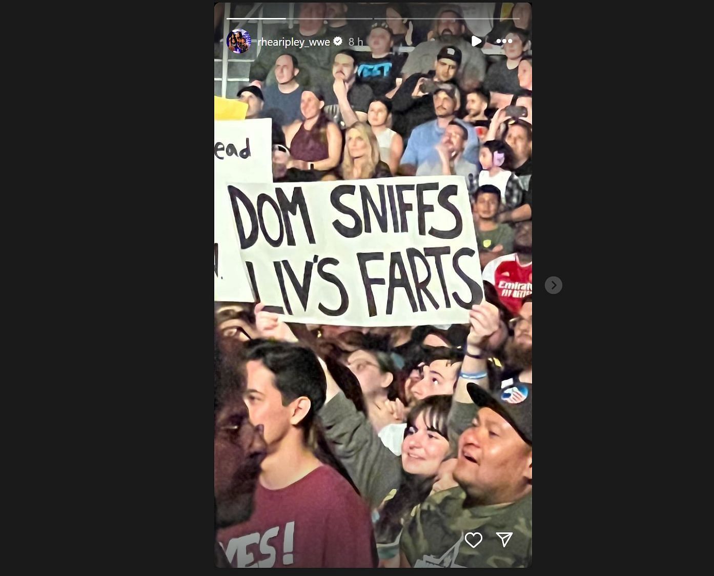 Screengrab of Rhea Ripley's Instagram Story